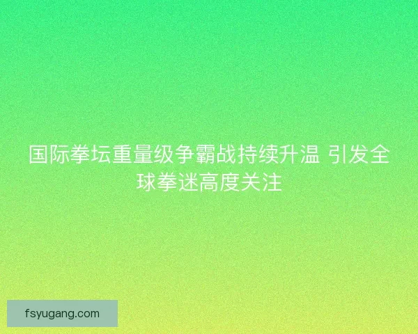 国际拳坛重量级争霸战持续升温 引发全球拳迷高度关注